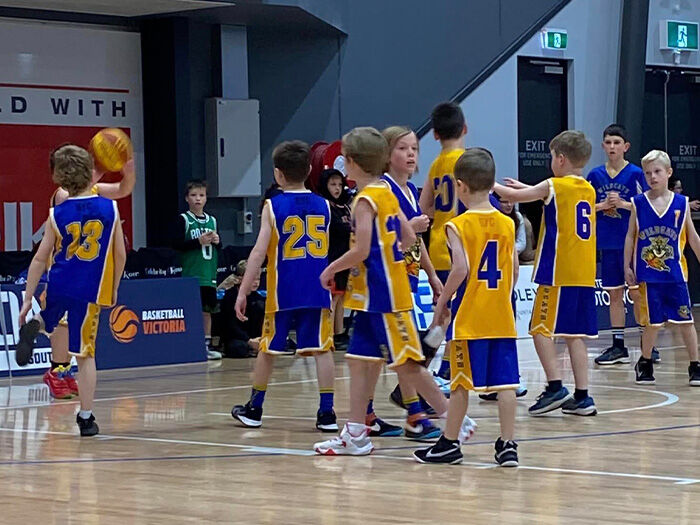 Ballarat Wildcats Basketball Club