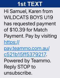 TEAMMO - Text 1 - Ballarat Wildcats Basketball Club