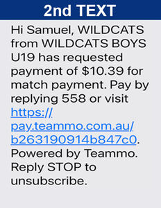 TEAMMO - Text 2 - Ballarat Wildcats Basketball Club