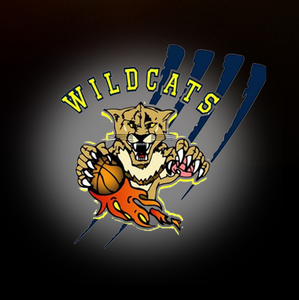 Wildcats Basketball Club