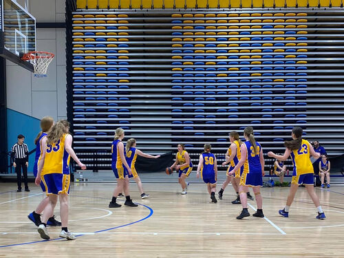 Ballarat Wildcats Basketball Club