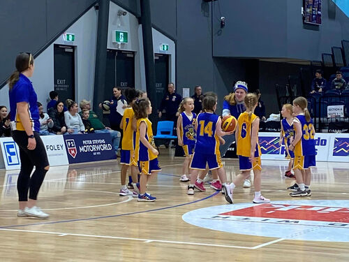 Ballarat Wildcats Basketball Club