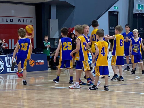 Ballarat Wildcats Basketball Club