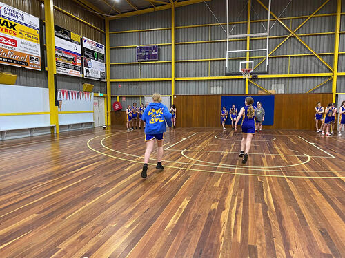 Ballarat Wildcats Basketball Club