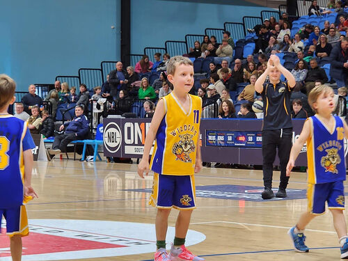 Ballarat Wildcats Basketball Club