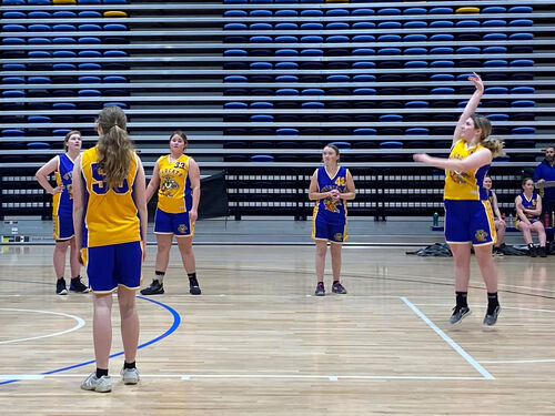 Ballarat Wildcats Basketball Club